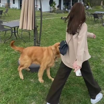 金缕霓裳